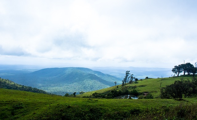 詹姆斯般强 詹姆斯般强