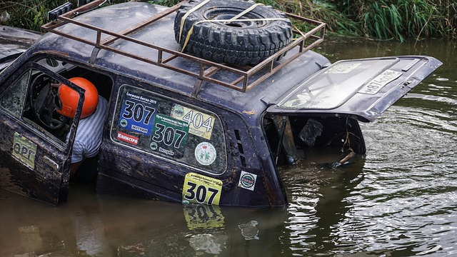 国足引进了 国足引进了