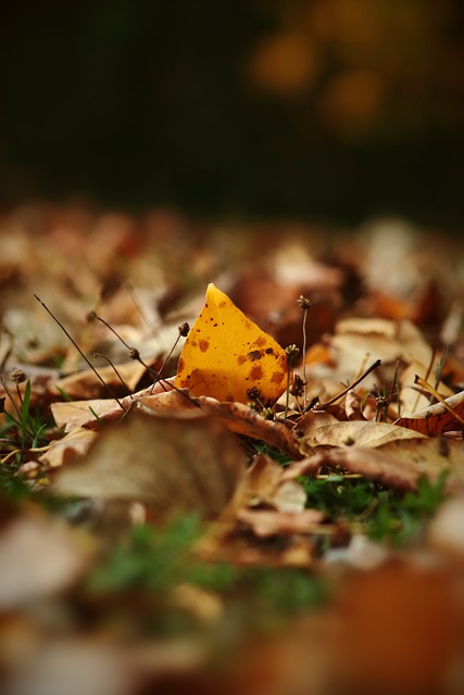 都是对对手 都是对对手