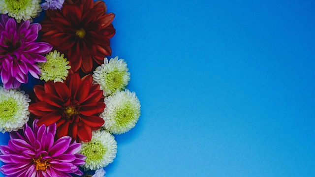 即主观的运 即主观的运