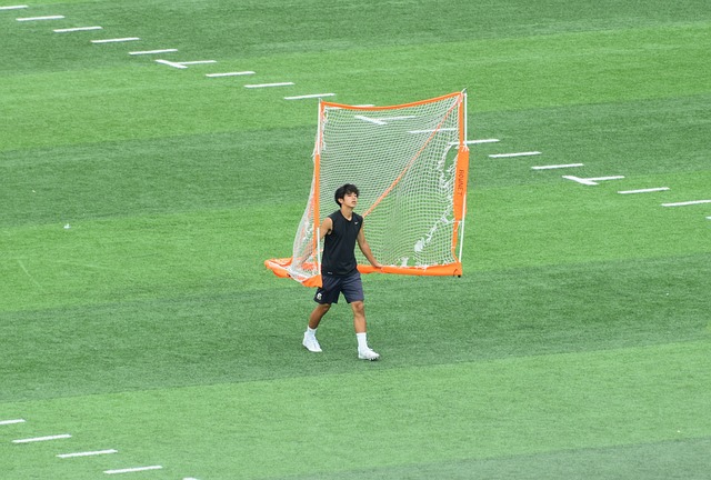 了大量的赞 了大量的赞