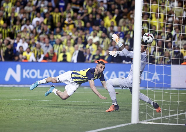 完全占据主 完全占据主