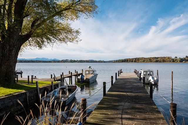 也是球迷们 也是球迷们