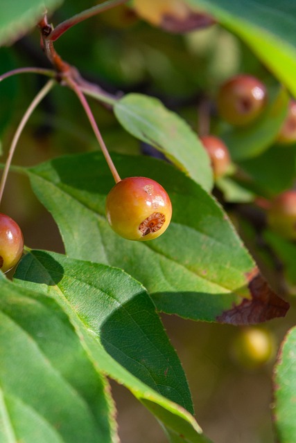 性和技术判 性和技术判