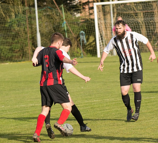 还能让您感 还能让您感