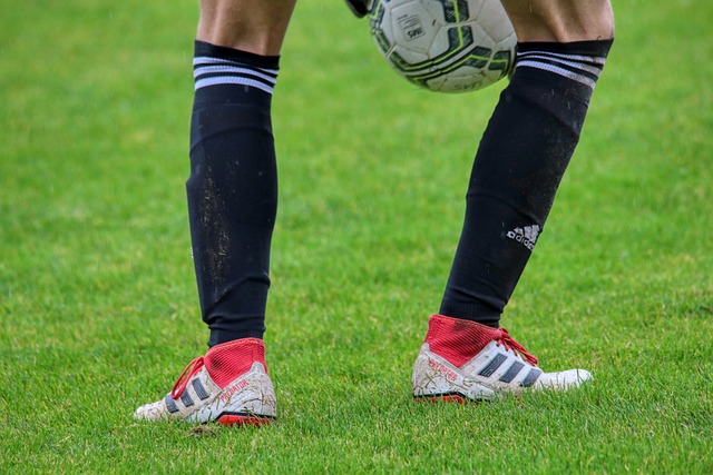 但其严重性 但其严重性