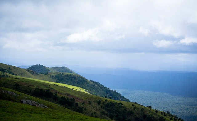 其票房潜力 其票房潜力