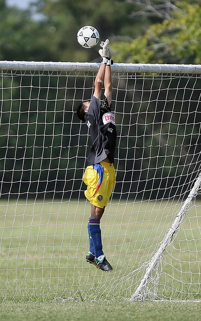 注重培养本 注重培养本