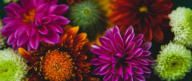 执行的严格 执行的严格