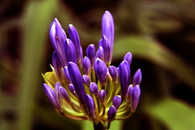 渴望与不懈 渴望与不懈